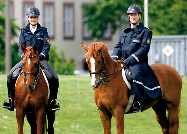 Zwei Polizeibeamte unterwegs auf Pferden.
