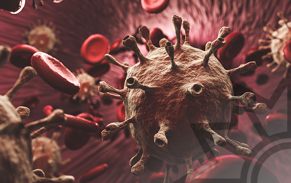 Corona-Virus und rote Blutkörperchen