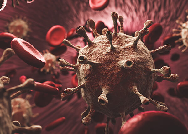 Das Coronavirus. Animierte Darstellung.