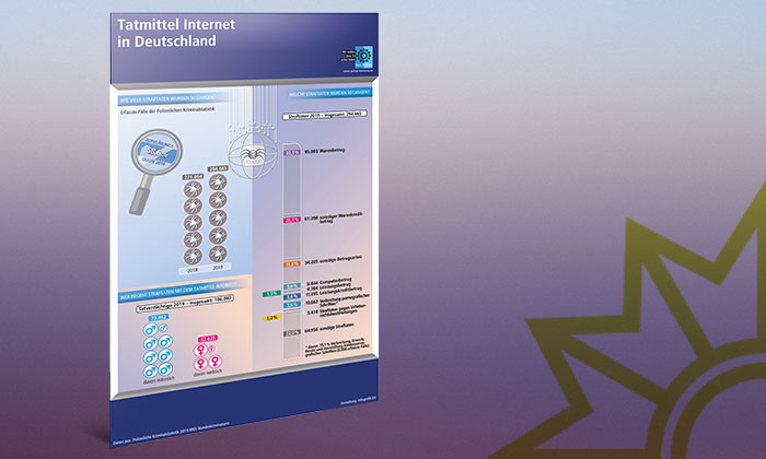 Simulation Infografik Tatmittel Internet PKS 2019