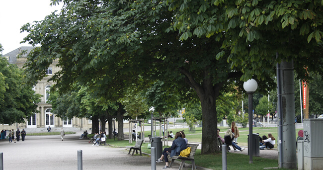 Mehrere Personen sitzen unter großen Laubbäumen auf Bänken in einem Stadtpark; im Hintergrund sind Gebäude und Gehwege zu sehen.