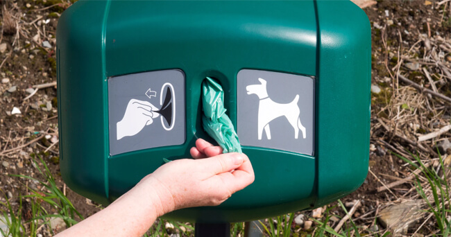 Nahaufnahme einer Hand, die einen grünen Kotbeutel aus einem angebrachten Spender mit Hundesymbol zieht, im Freien aufgestellt.