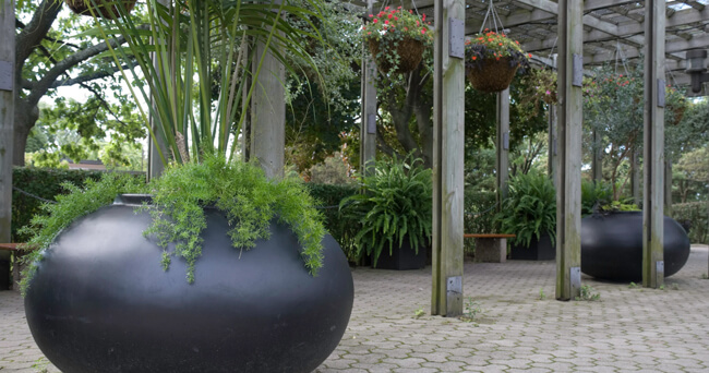 Mehrere große, runde schwarze Pflanzkübel mit grünen Pflanzen stehen auf einer gepflasterten Fläche unter einer Pergola, umgeben von weiteren Grünpflanzen und Hängekörben.