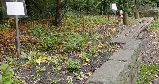 Blick auf eine begrünte Fläche mit kleinen Pflanzen und Informationstafeln, umgeben von Bäumen und einer niedrigen Steinmauer.