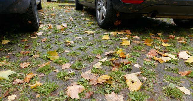 Eine mit Rasengittersteinen befestigte Parkfläche ist stellenweise begrünt und mit buntem Herbstlaub bedeckt. Zwischen den parkenden Autos wachsen Gräser durch die Pflasterlücken.