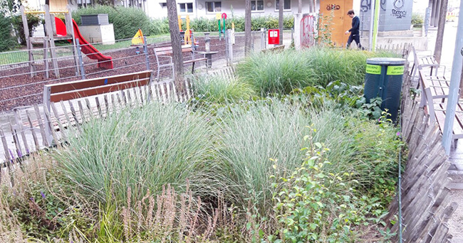 Grünfläche mit hohen Gräsern und Sträuchern, von einem niedrigen Holzzaun eingefasst, im Hintergrund ein Spielplatz und Sitzgelegenheiten in einem städtischen Umfeld.