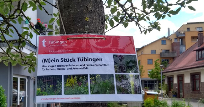 An einem Baum befestigtes Schild mit der Aufschrift „(M)ein Stück Tübingen“, umgeben von kleinformatigen Fotos blühender Pflanzen; im Hintergrund Wohngebäude und blauer Himmel mit Wolkenillustrationen.
